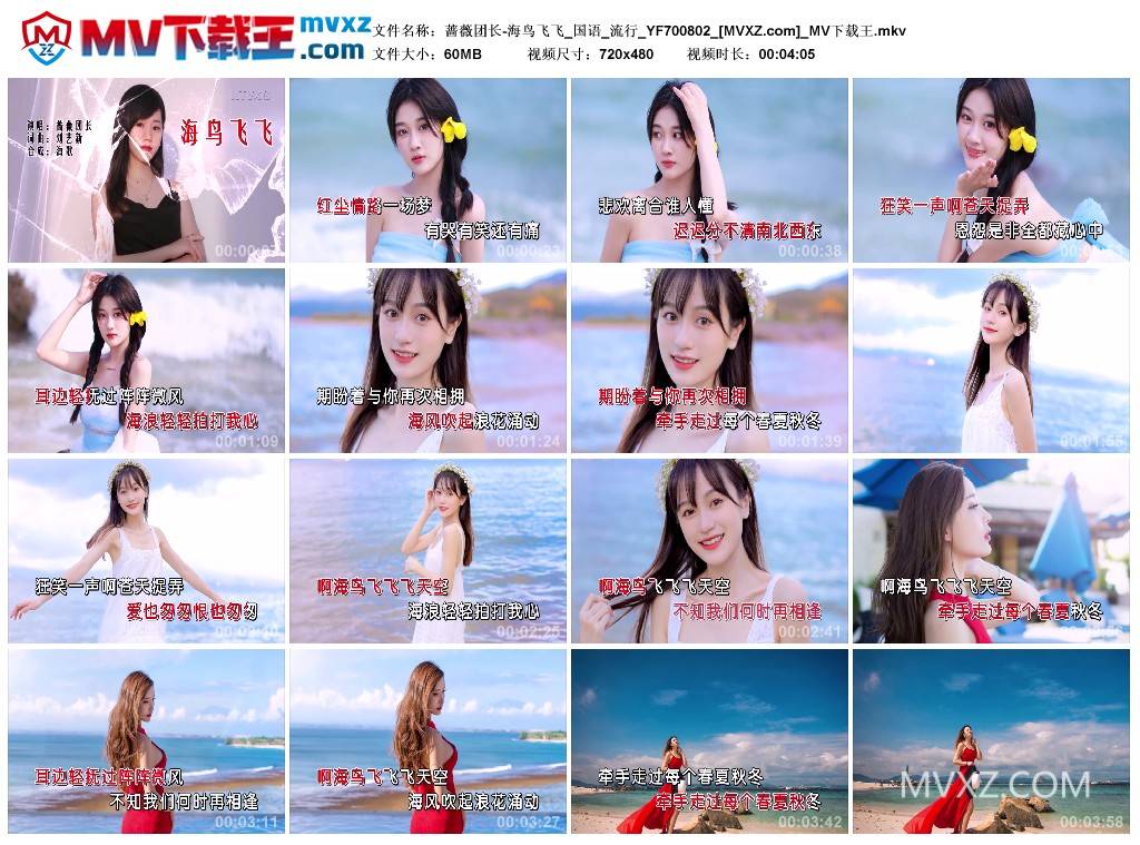 蔷薇团长-海鸟飞飞_国语_流行_YF700802